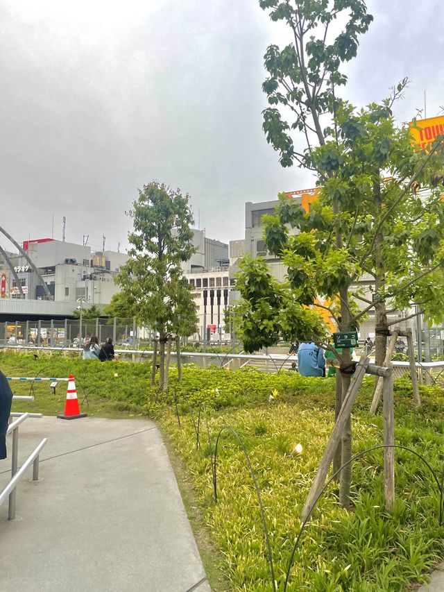 빌딩 숲 사이 공원 “Miyashita Park”🍃🌳