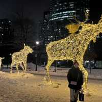 Amazing Winter lights trail Montreal