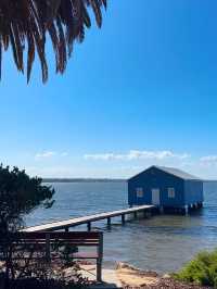 Perth 必去兩大景點～Perth 偶遇周杰倫同款藍色小屋 💙 Kings Park and Botanic Garden 國王公園