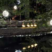 capilano suspension bridge 