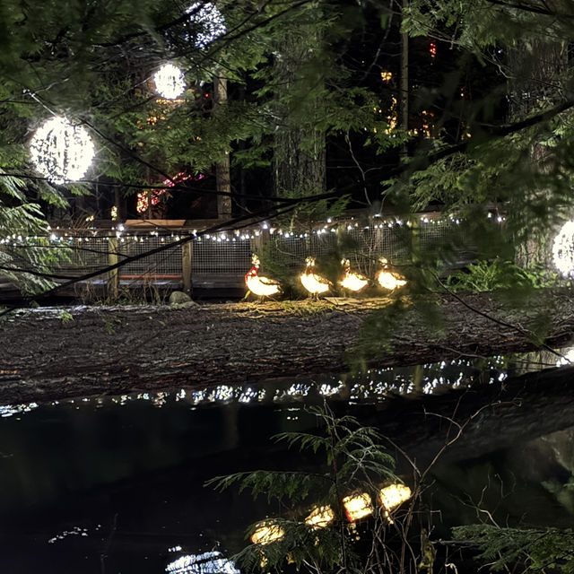 capilano suspension bridge 