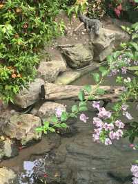 Shanghai Zoo: A Green Escape in the City
