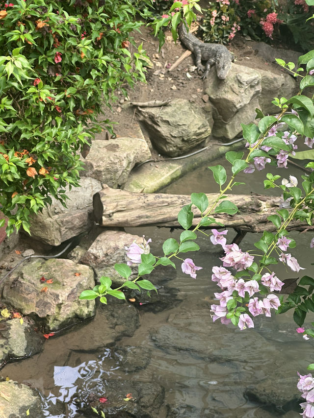 Shanghai Zoo: A Green Escape in the City Shanghai Zoo: A Green Escape in the City