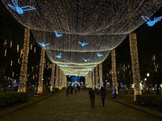 🎄✨ เมืองเบโลโอริซอนเตเปล่งประกายในเทศกาลคริสต์มาสนี้
