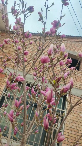 한참을 팽팽했던 신경을 완전히 내려놓고, 들판으로 유유히 걸어가 봅니다. 발걸음은 마치 구름 위를 걷는 듯 폭신하고, 바람은 당신을 부드럽게 스쳐 지나갑니다.