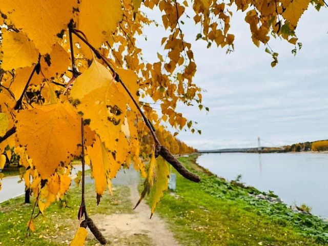 芬蘭🇫🇮景點-凱米河