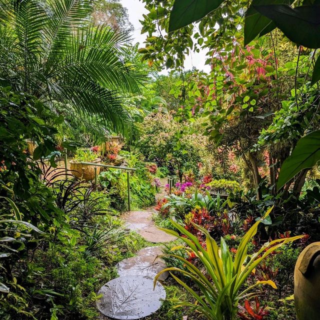 Caribbean wonderland to get lost in