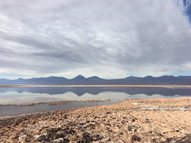 Stargazing in Atacama's Desert Sky