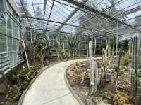 🌿🌵botanical Garden เล็กๆ ที่เมืองเดรเบเซนฮังการี