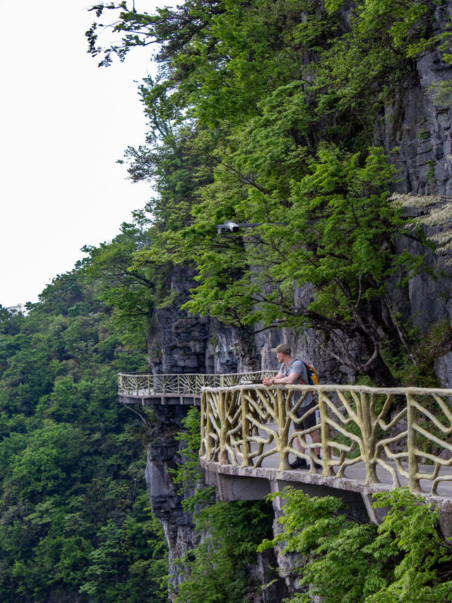 Ready to Enter Heaven’s Gate? Discover the awe-inspiring Tianmen Mountain.