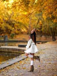 가을의 네스쿠치니 공원 발견 🍂