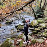 National Gem of Ullswater: Aira Force Adventure