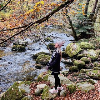Ullswater 的國家瑰寶：Aira Force 瀑布探險