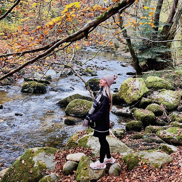 National Gem of Ullswater: Aira Force Adventure