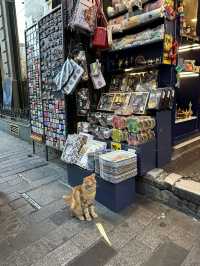 Perfect Istanbul Itinerary 