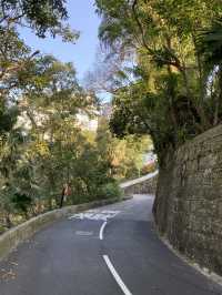 Hike from Wanchai 88 to Victoria Peak and walk down to Soho for vintage shops