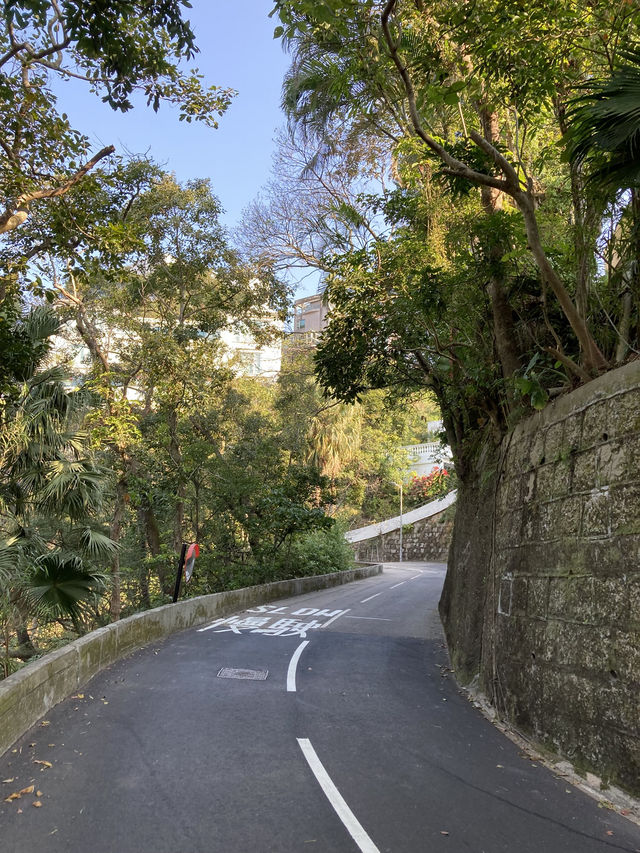 Hike from Wanchai 88 to Victoria Peak and walk down to Soho for vintage shops