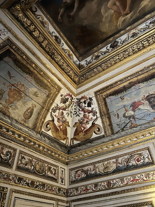 🇫🇷 卡納瓦莱博物館 Musée Carnavalet👑