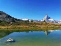 Explore the stunning nature of the Swiss Alps @ Zermatt!