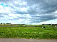 A Perfect Summer Day at Birmingham Airport Viewing Area – A Hidden Gem in Sheldon Country Park