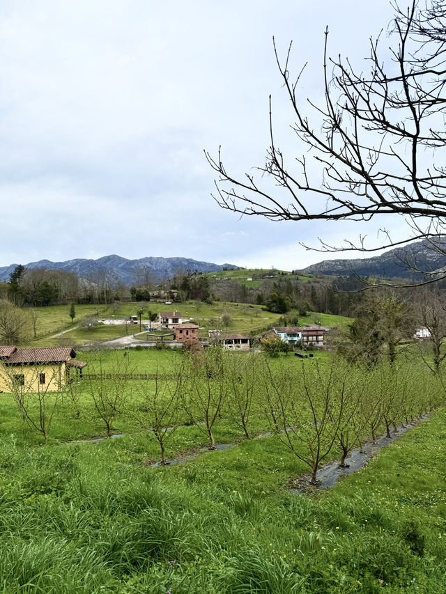 Your Perfect Day in Asturias 🏔️
