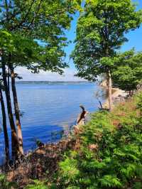 Take a trip by the sea! Visit Brownsea Island 🌼