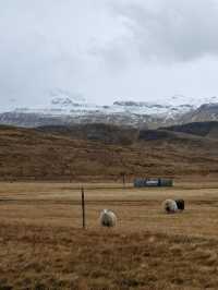 You can’t miss this day trip through Iceland’s most peaceful peninsula