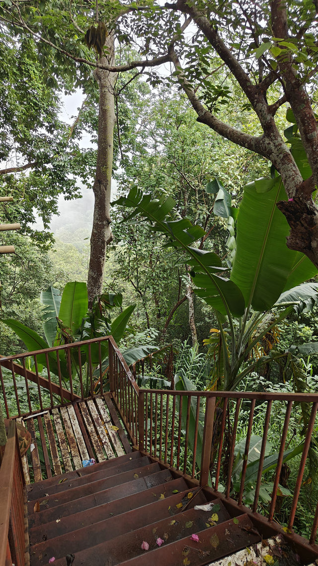 Wat Phra That Doi Suthep – A Sacred Hilltop Viewpoint Above Chiang Mai