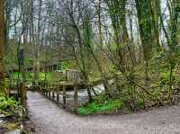 A great day out for the whole family. Loggerheads Country Park! 