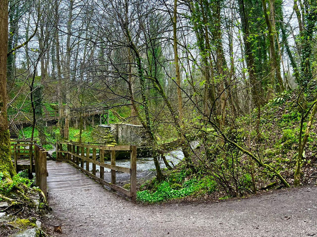 A great day out for the whole family. Loggerheads Country Park! 