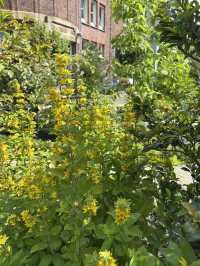 Trip to de Hortus 