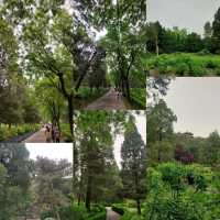 Jingshan park is a beautiful park