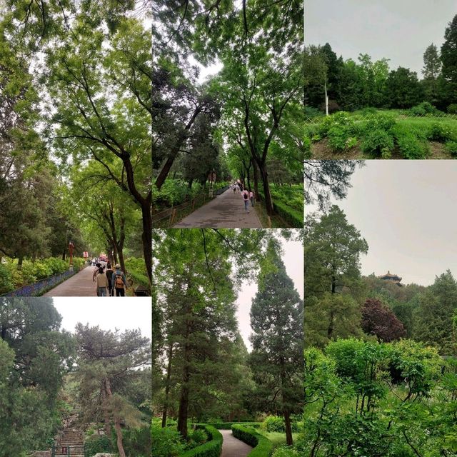 Jingshan park is a beautiful park