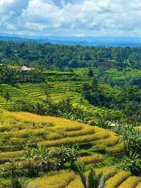 Jatiluwih Rice Terraces, Bali: A Peaceful Tapestry of Tradition and Nature