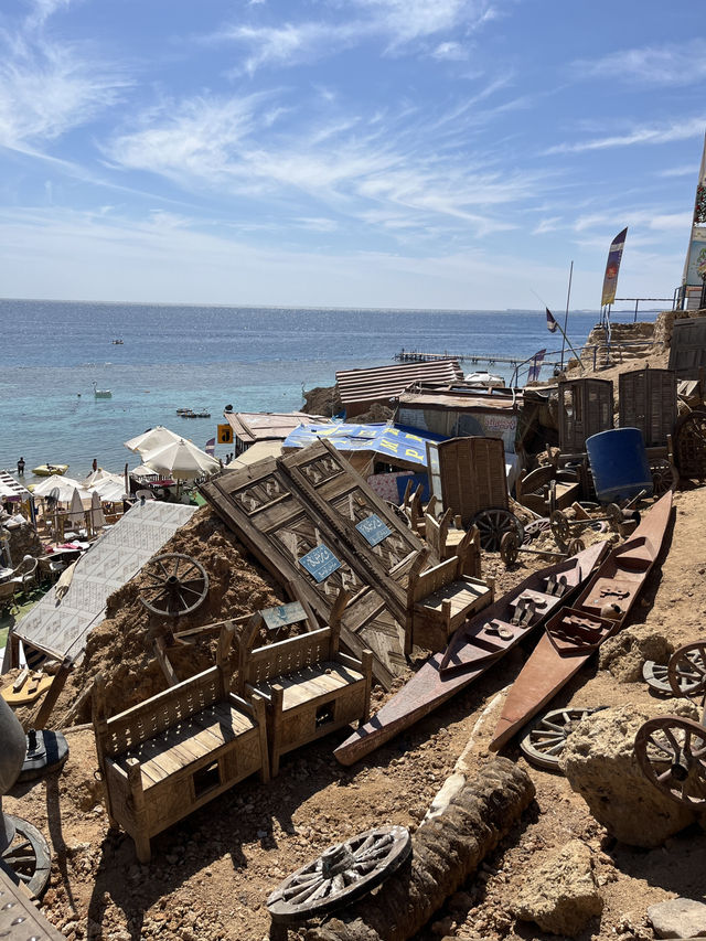 Budget Diving Escape in Sharm – All in for $100!