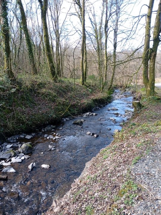 The National Botanic gardens of Wales
