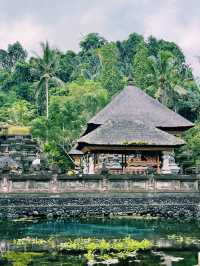 Best way to see Bali in a week!