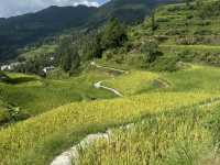Epic Hike: Liping to Tang’an Dong Village—China’s Dreamy Terraced Trail 🌾✨