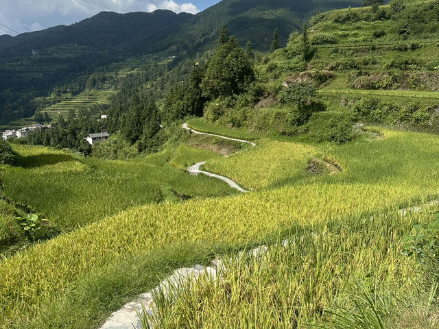 Epic Hike: Liping to Tang’an Dong Village—China’s Dreamy Terraced Trail 🌾✨