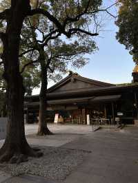 Tokyo and Kyoto: where pop culture, street food, and peaceful shrines collide
