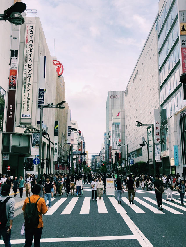 Tokyo on a Budget: Sushi, Shrines & Street Life