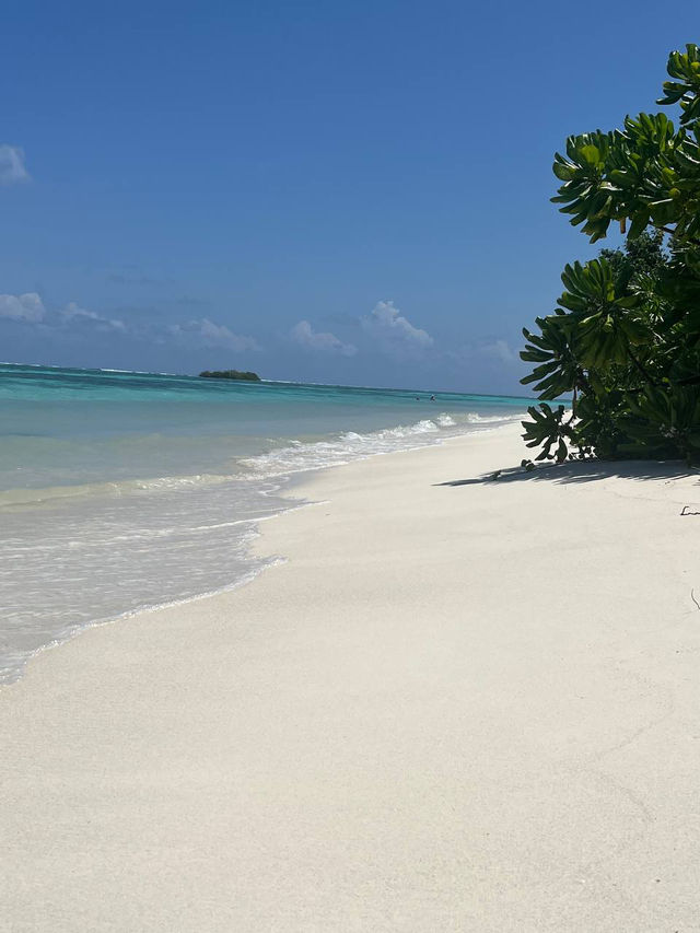 Living Like a Mermaid & Aqua Man at Jawakara Island Maldives ☀️🌊✨