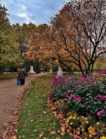 🌟💫 Top Things to See in Paris — The City of Light Awaits