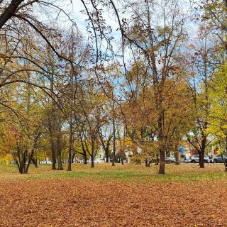 愛上波蘭：一個秋日故事