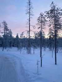Lapland Winter Fun❄️