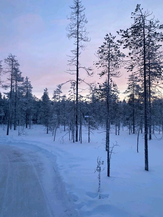 Lapland Winter Fun❄️