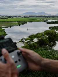 🇻🇳🌾 MISS HOI AN CAFE — секретный спот на рисовых полях