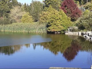 베지베리 국립 소나무 숲 및 삼림