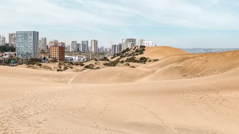 Dunas de Concón: The Golden Dunes of Concón – Where the Desert Meets the Ocean — traveler post in Concon