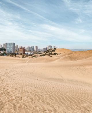 Dunas de Concón: The Golden Dunes of Concón – Where the Desert Meets the Ocean